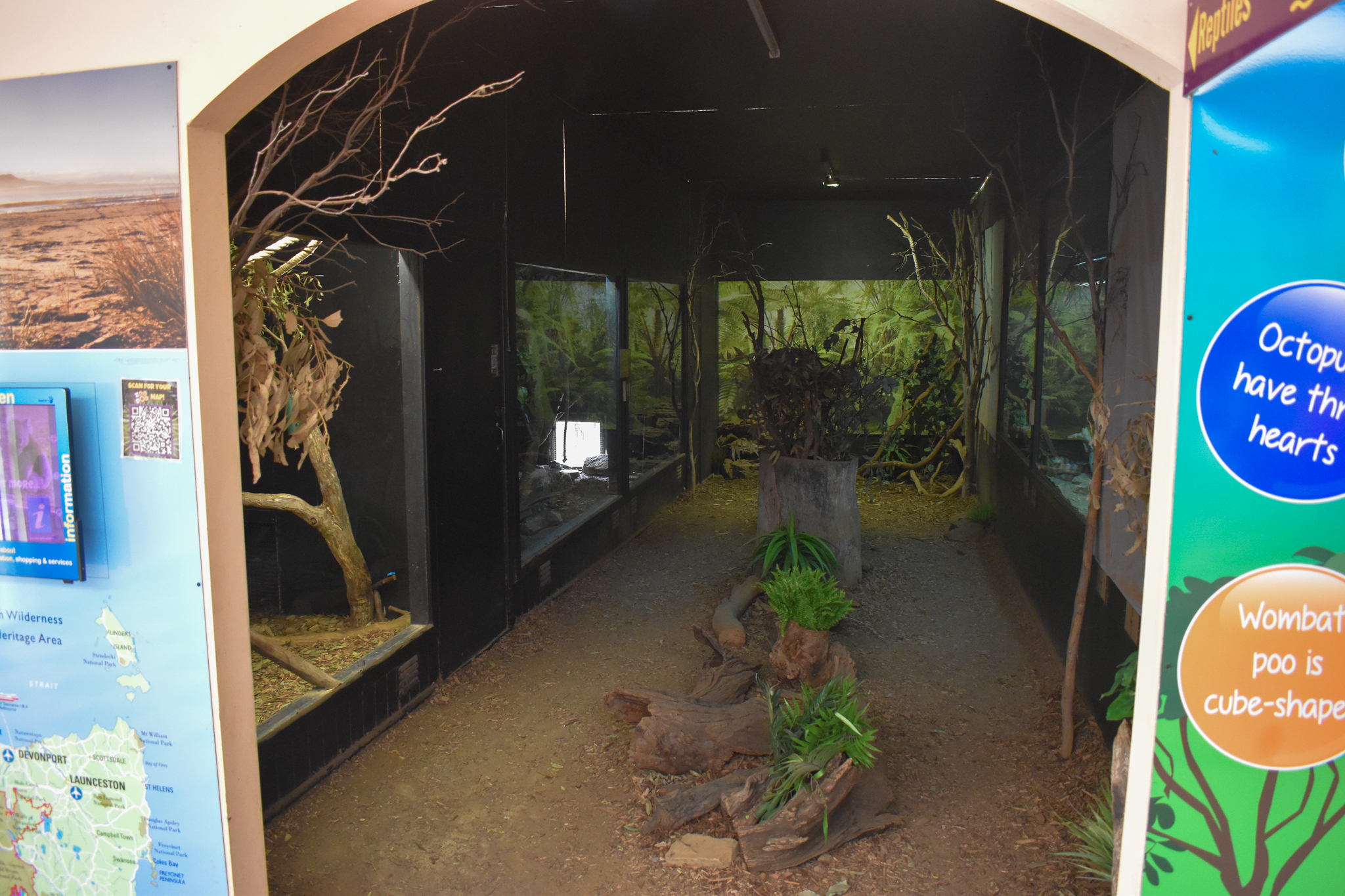 Nocturnal + Reptile Exhibits