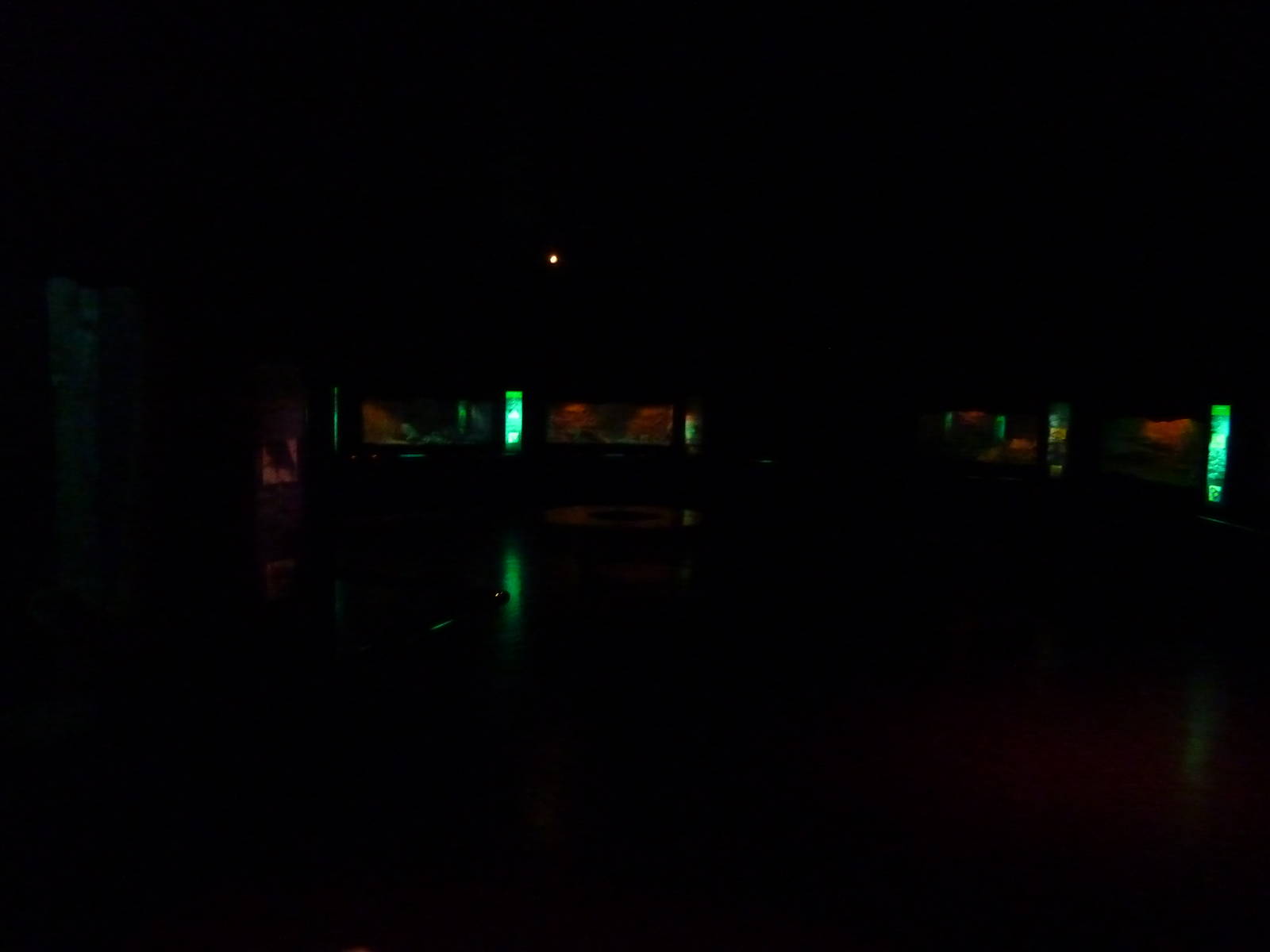 Nocturnal rodent enclosures, December 2011.