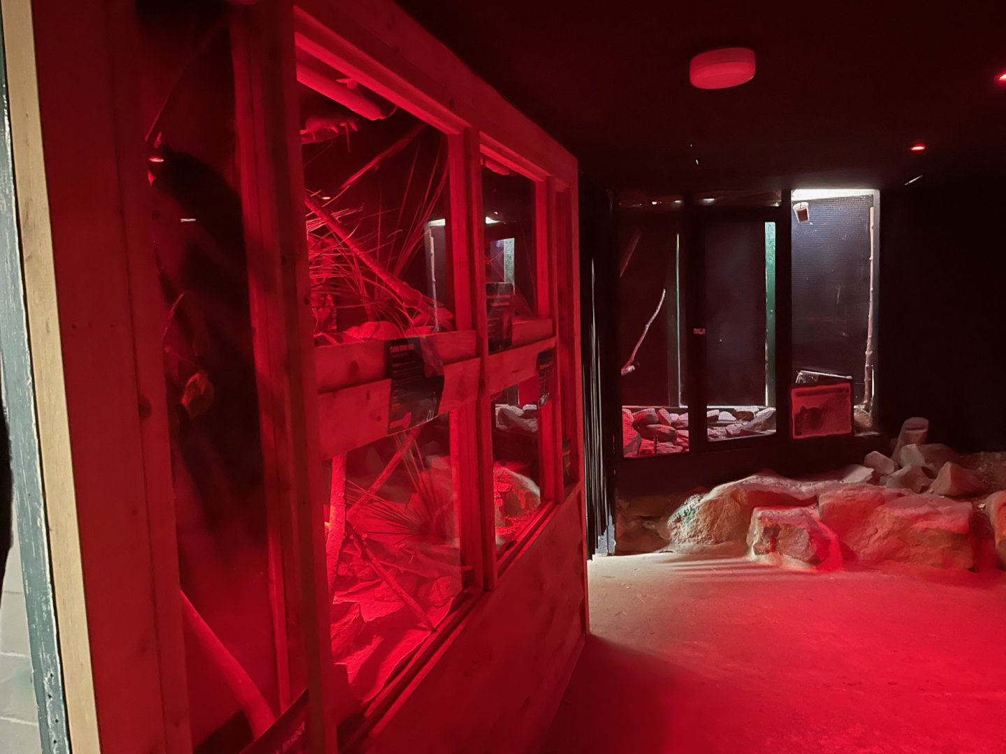 Nocturnal Room at Ponderosa Zoo (July 2021)