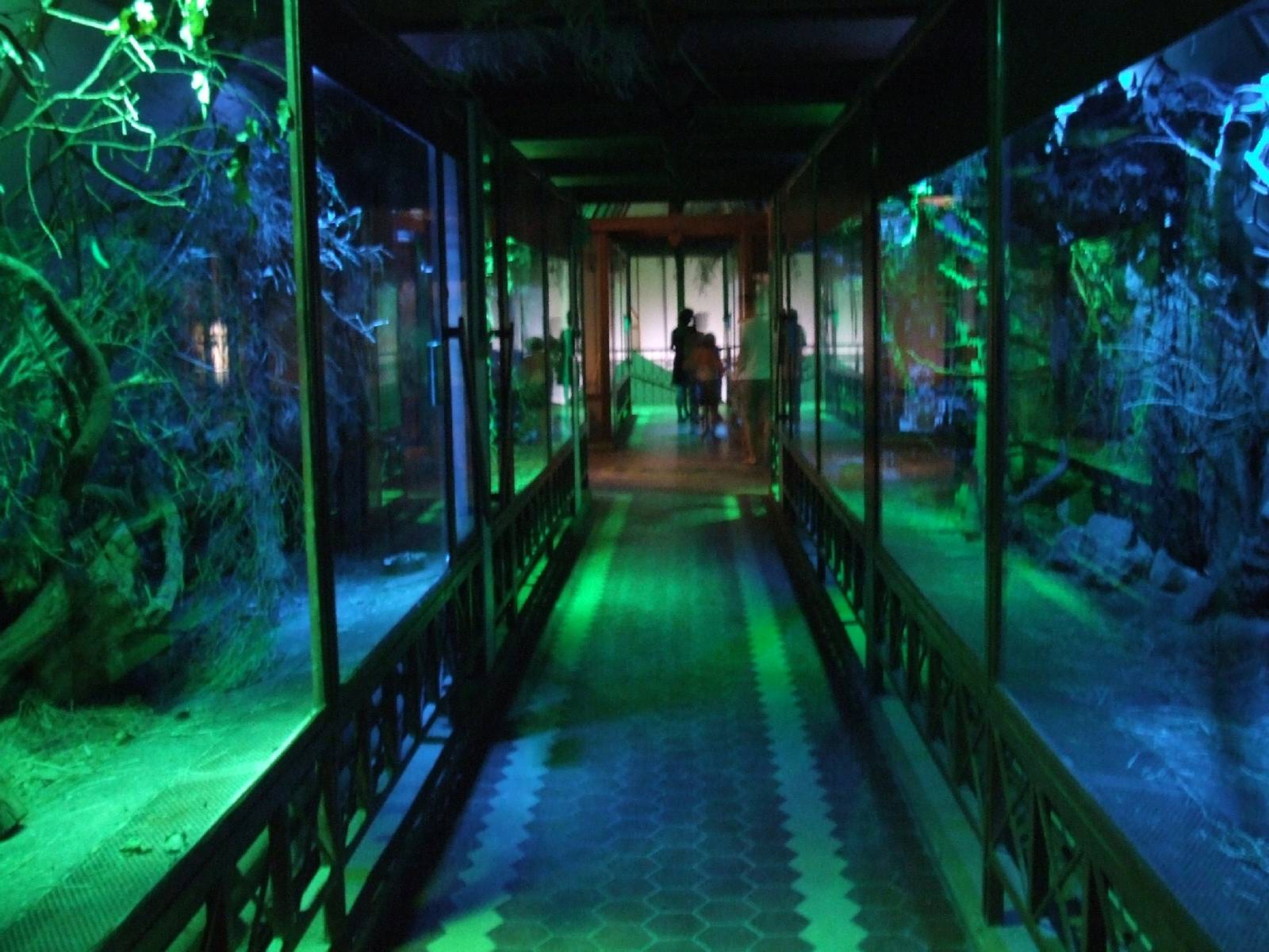 Nocturnal section @ Budapest Zoo