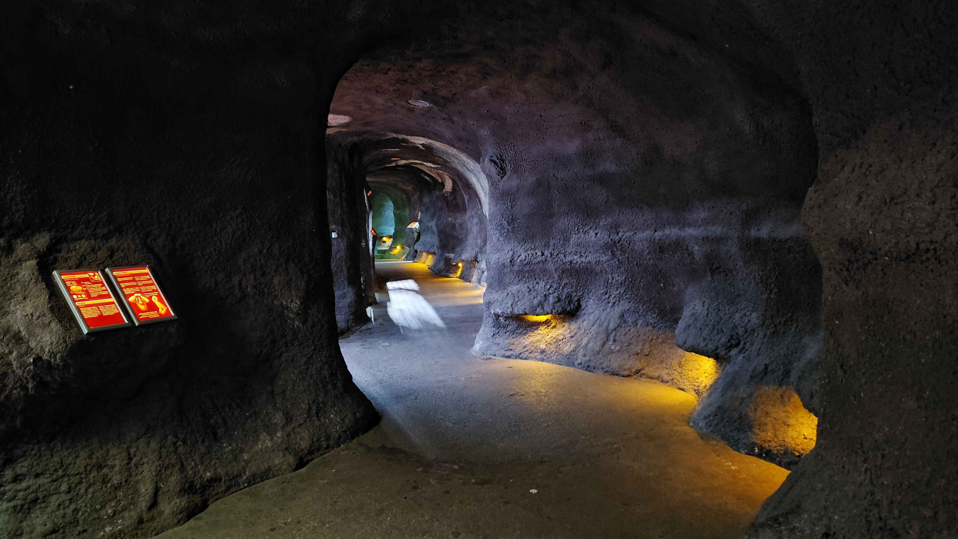 Nocturnal section - lights on