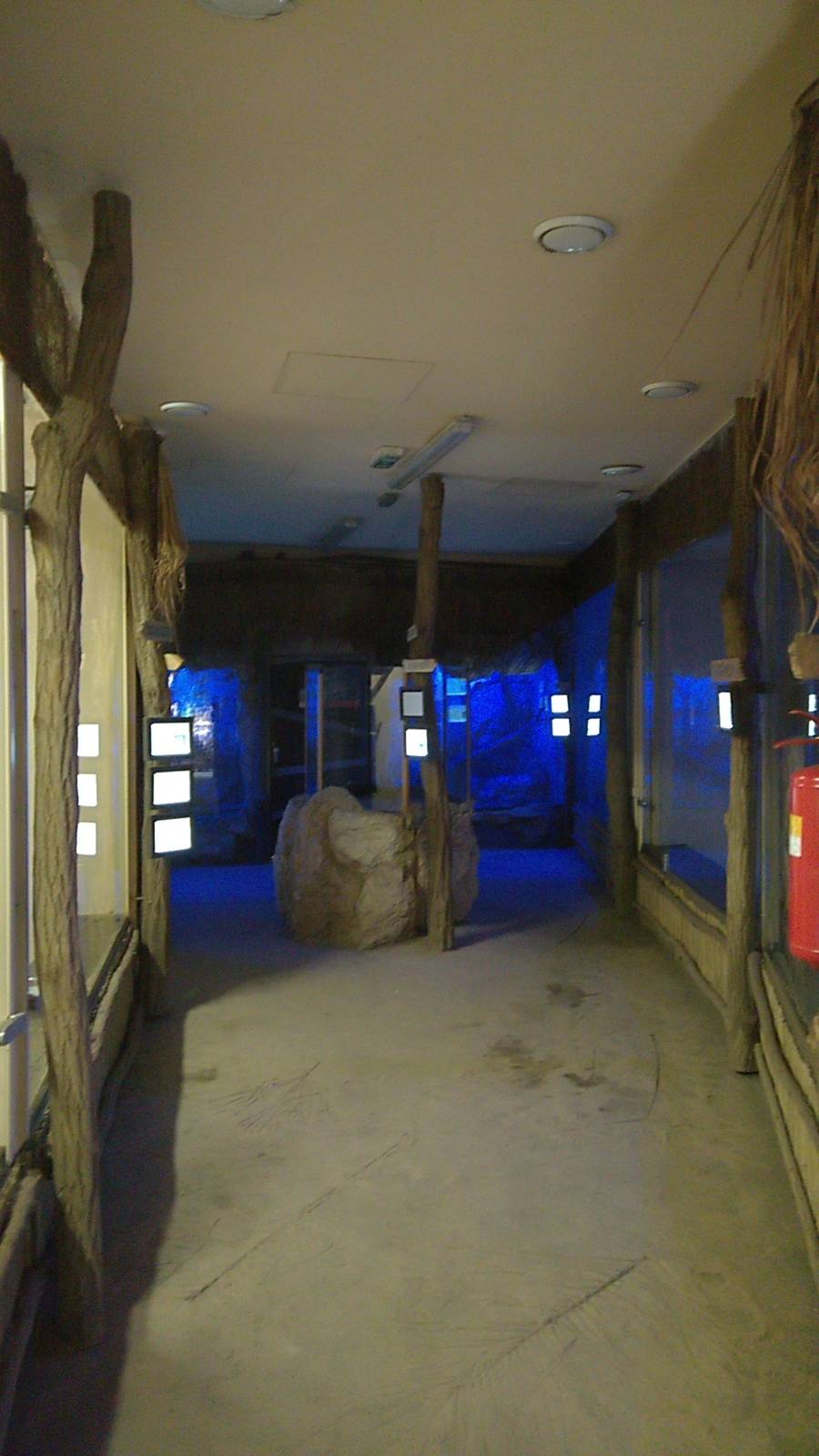 Nocturnal section of the Madagascar pavilion