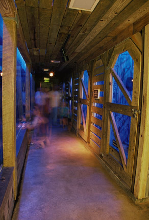 nocturnal Texas exhibit
