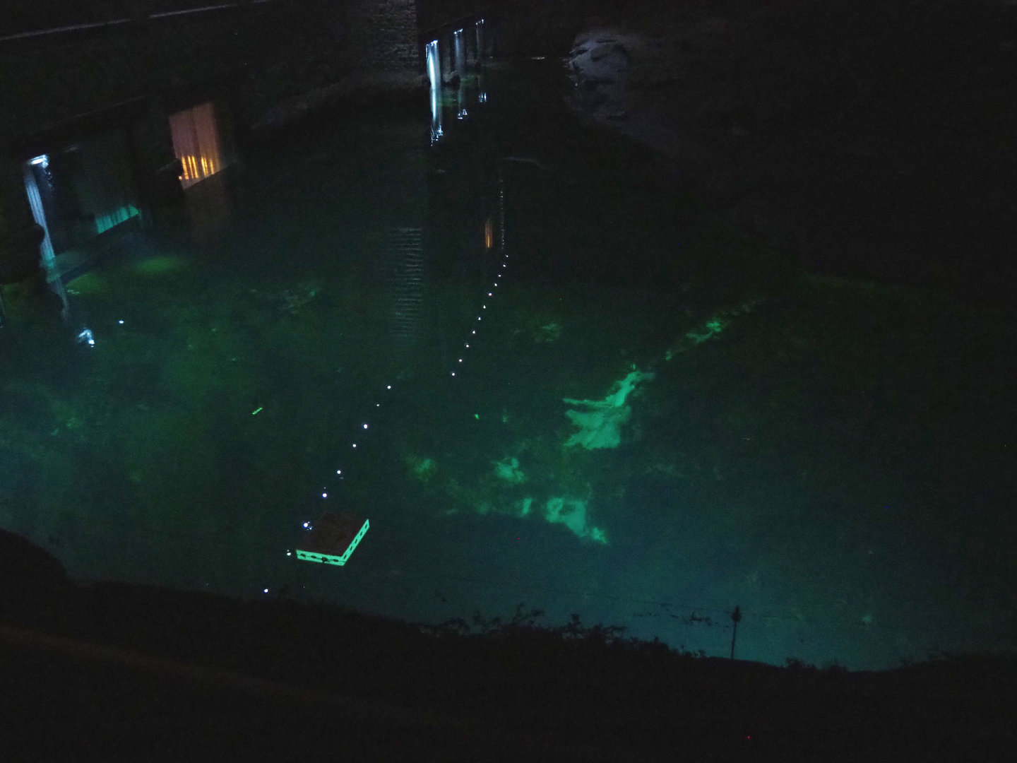 Nocturnal view of the polar bear pool and windows of The White Bear House, 2022-09-14