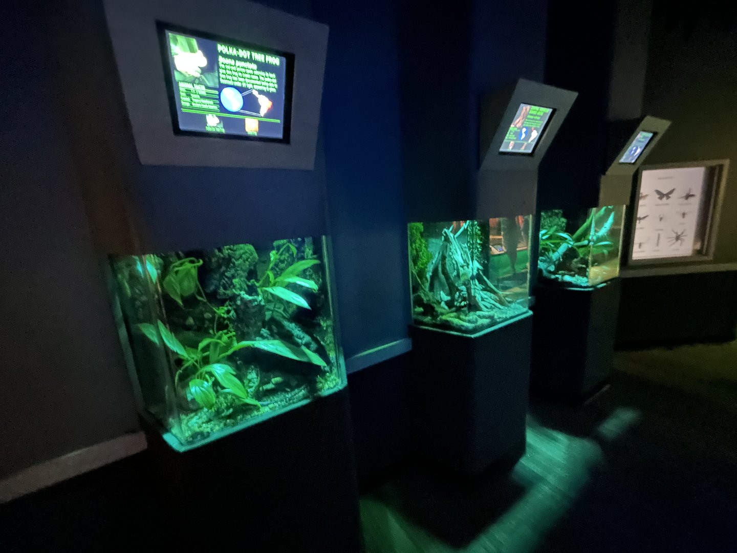 Nocturnal Vivaria - Unseen New World