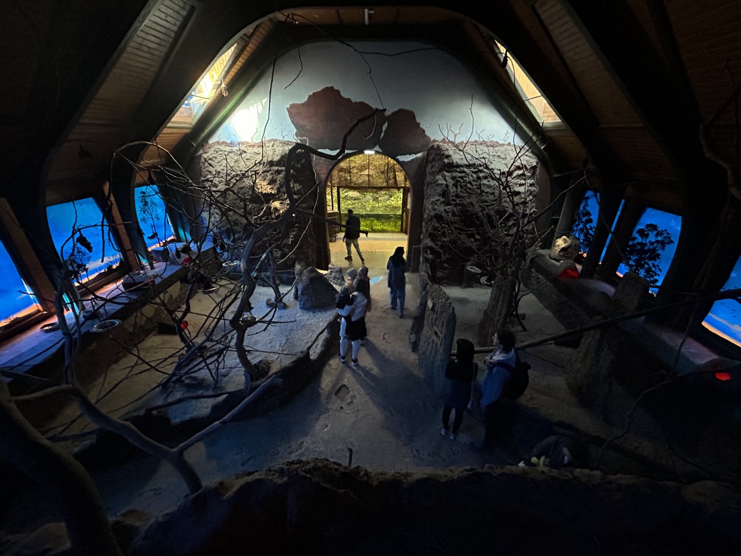 Nocturnal Walkthrough Exhibit - Australia House