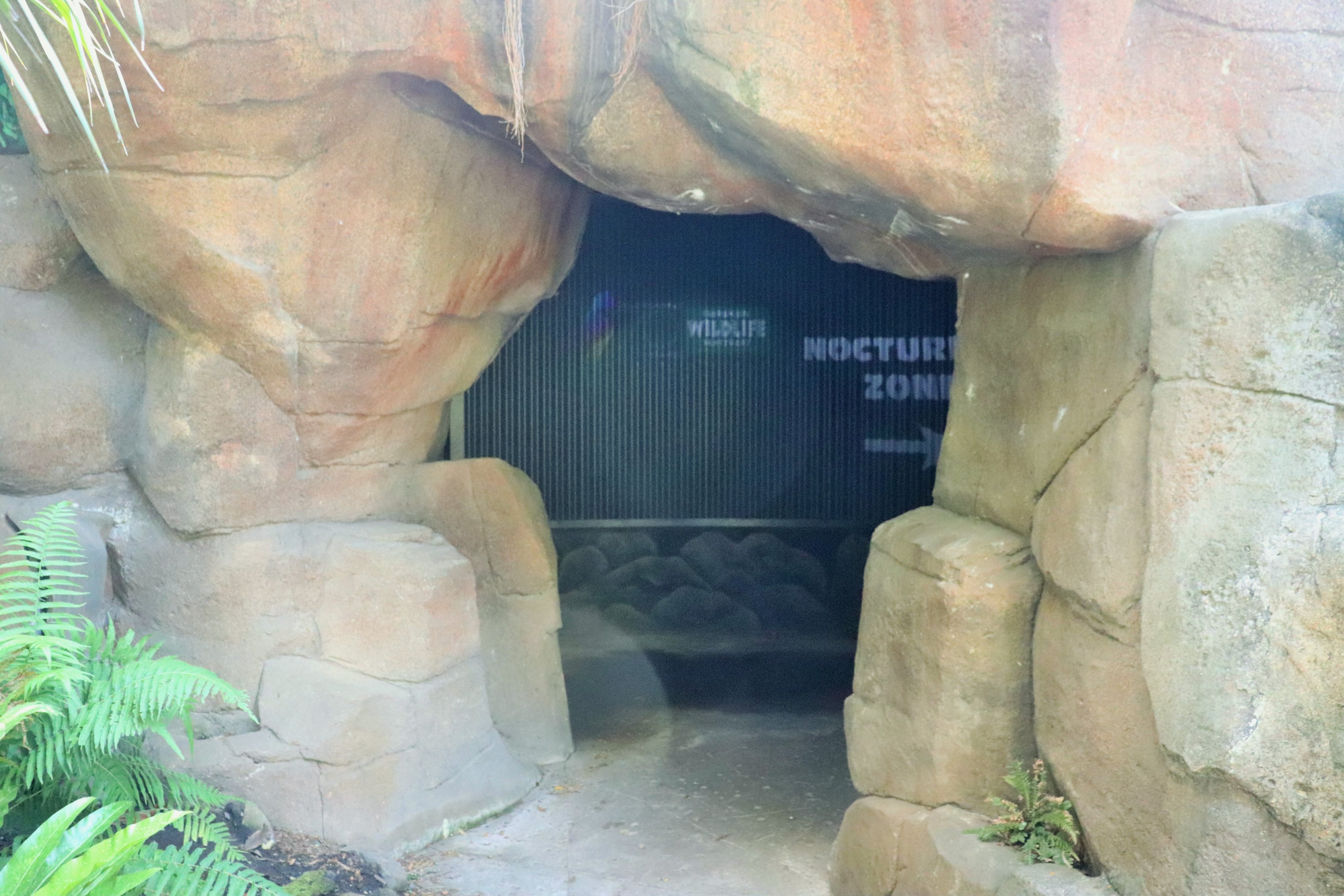 Nocturnal Zone Entry