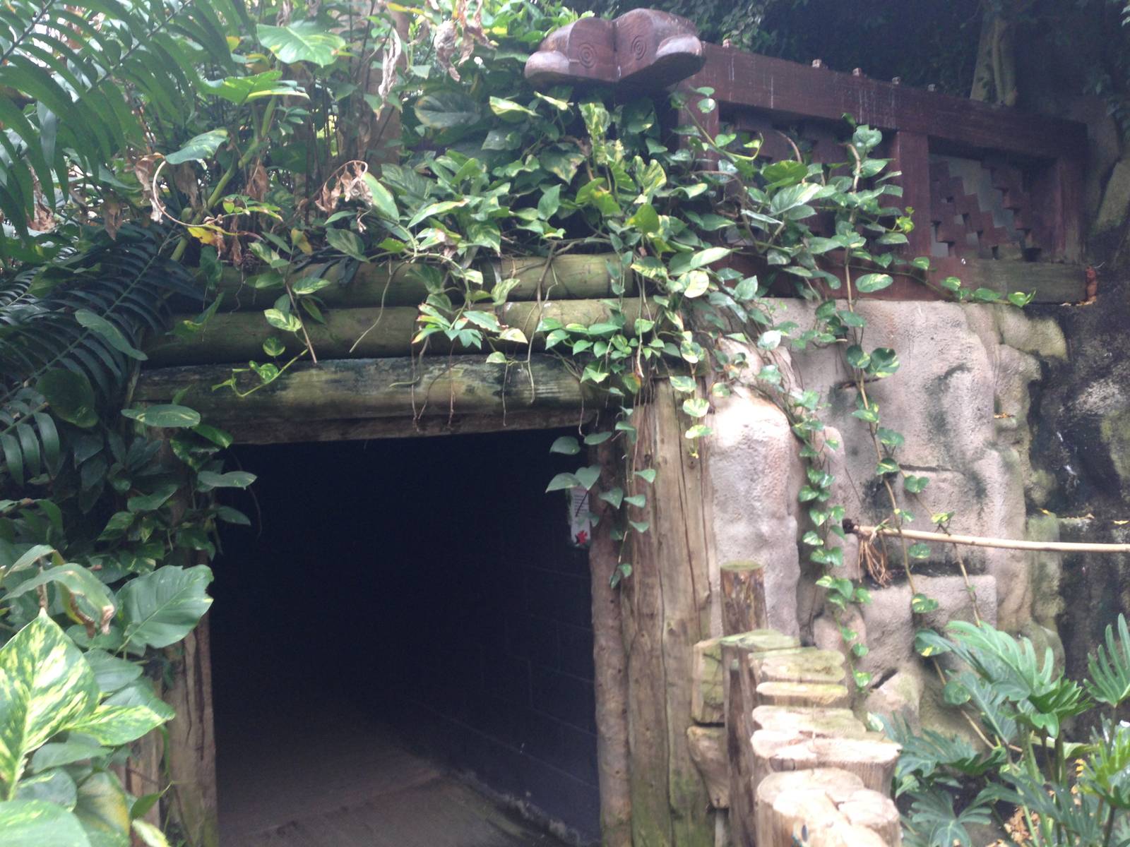 Nocturnal Zone Exit at Tropical World - 02/10/2013