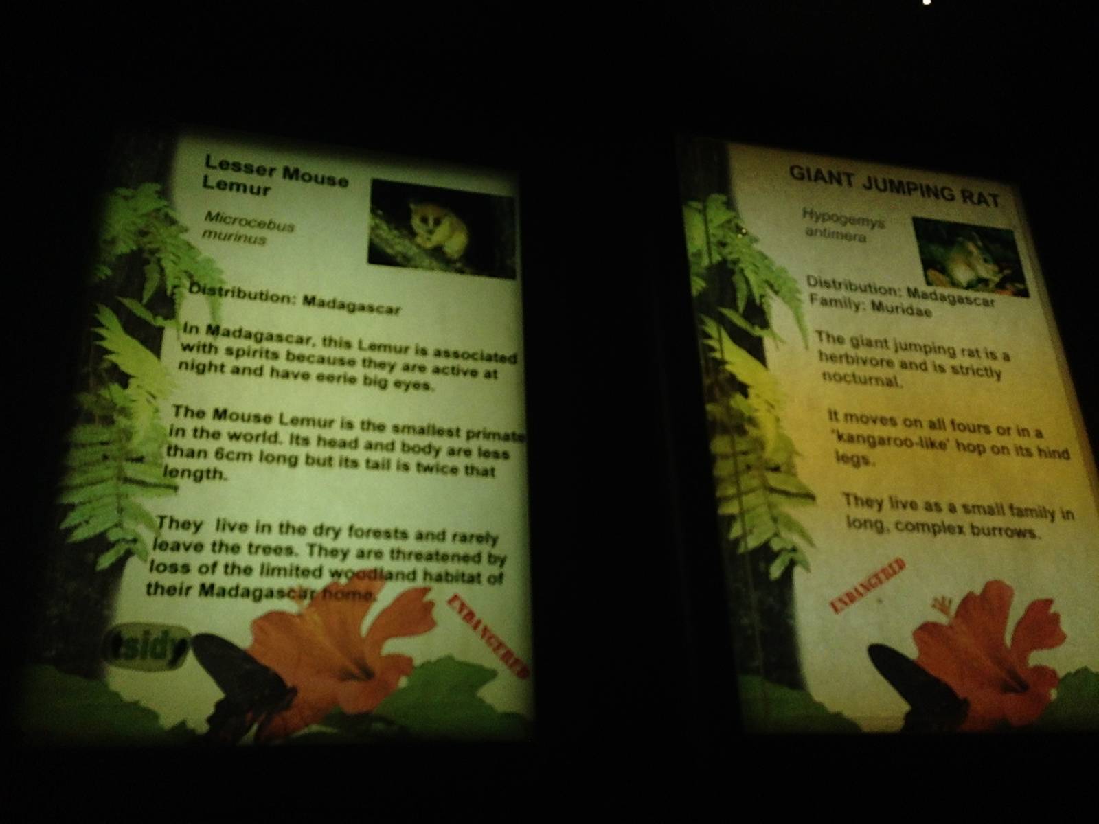 Nocturnal Zone Signage at Tropical World - 02/10/2013