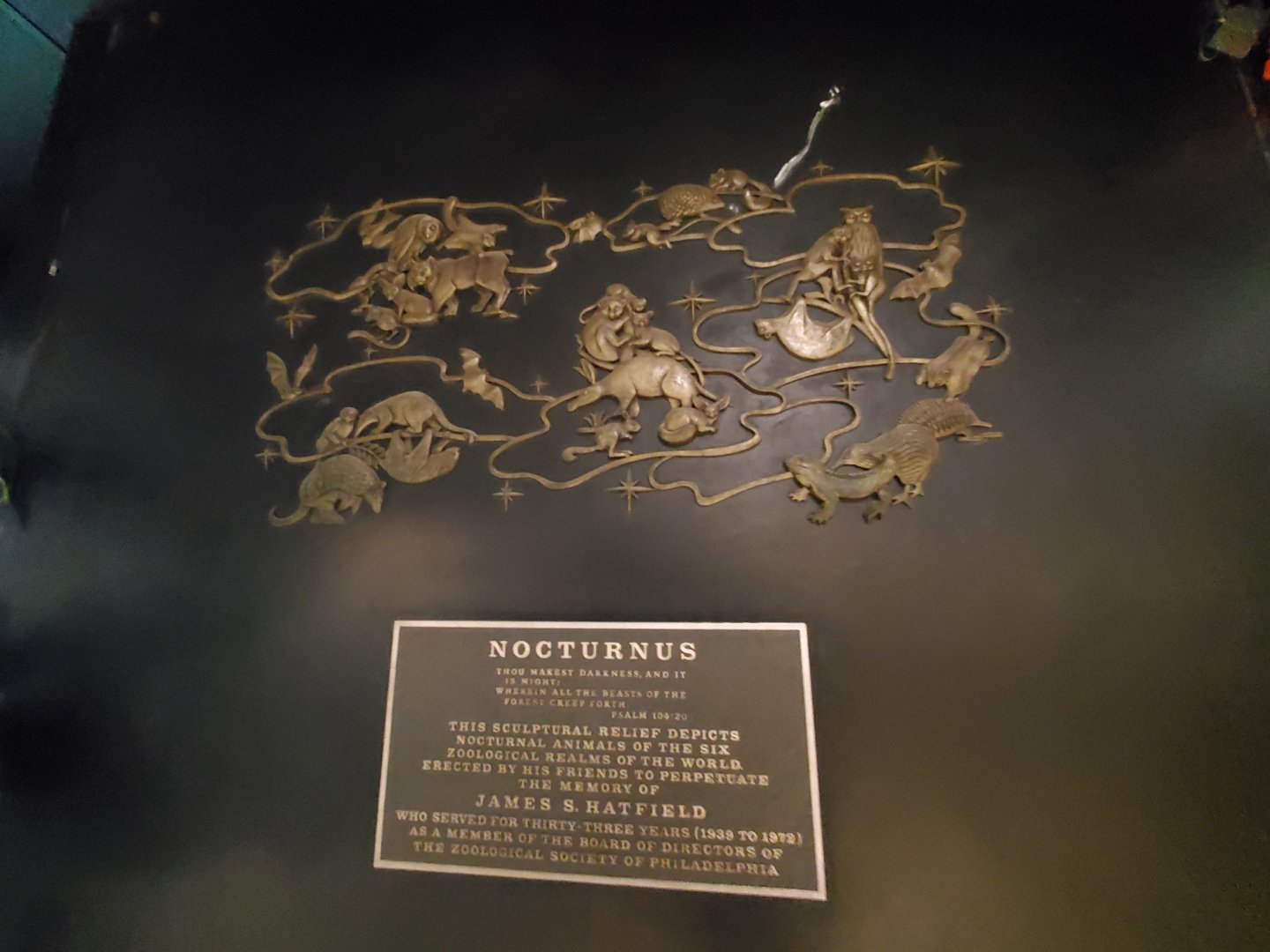 Nocturnus Relief - October 2023