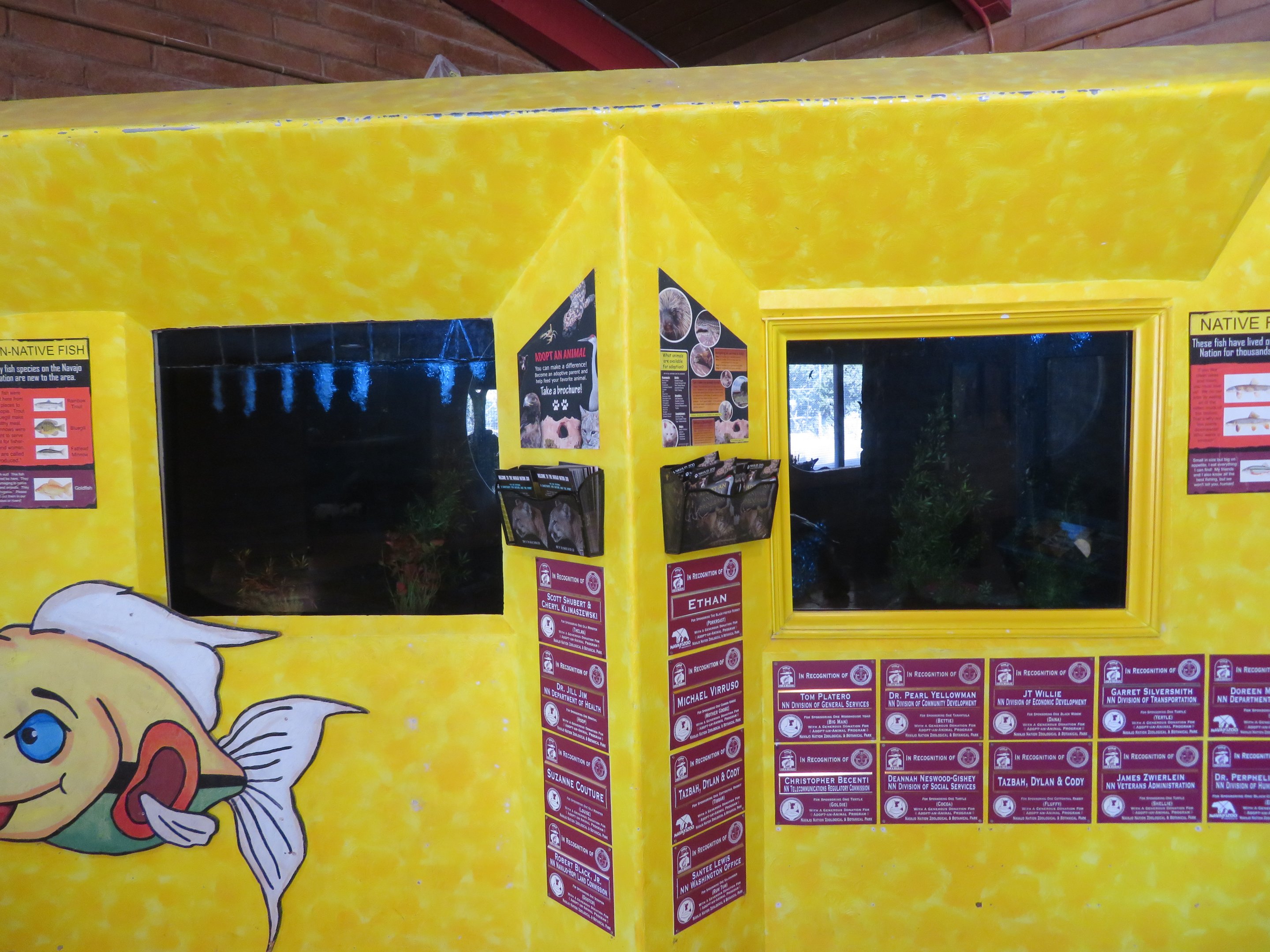 Non-native and Native Fish Tanks