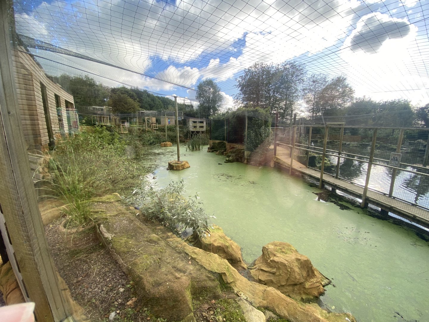 Non-pelican half of new Central Aviary 141023