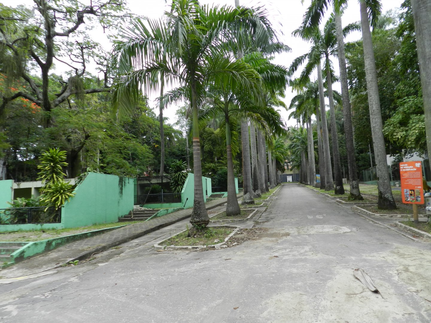 Non renovated area - BioParque do Rio