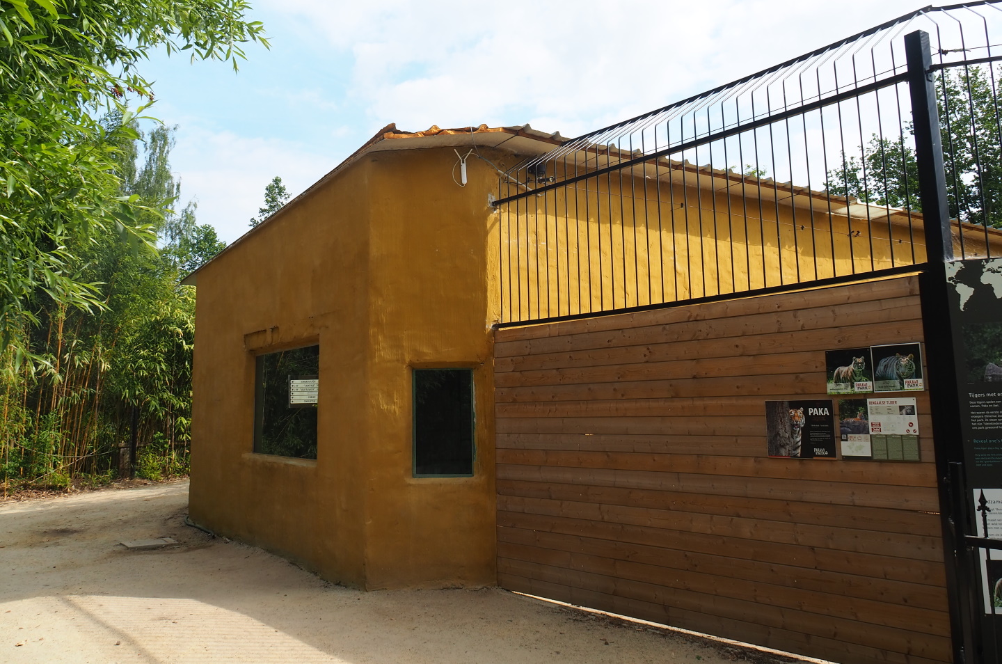 Non-subspecies specific tiger house, 2021-06-15