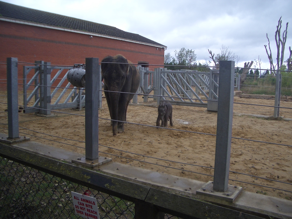 Noorjahan and Ganesh Vijay - August 2009