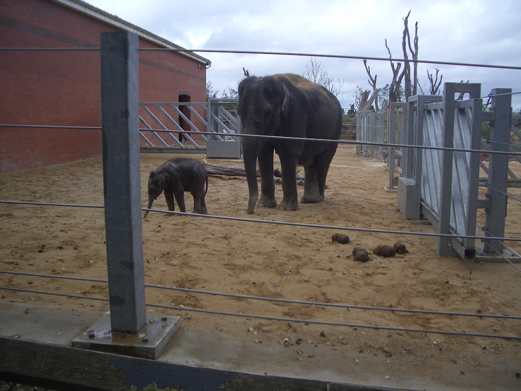 Noorjahan and Ganesh Vijay - August 2009