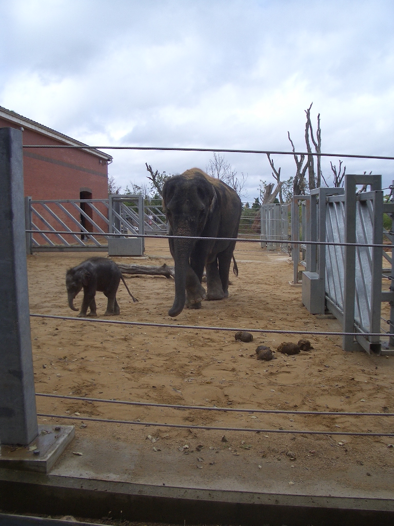Noorjahan and Ganesh Vijay - August 2009