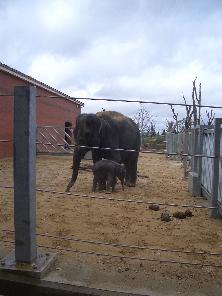Noorjahan and Ganesh Vijay - August 2009
