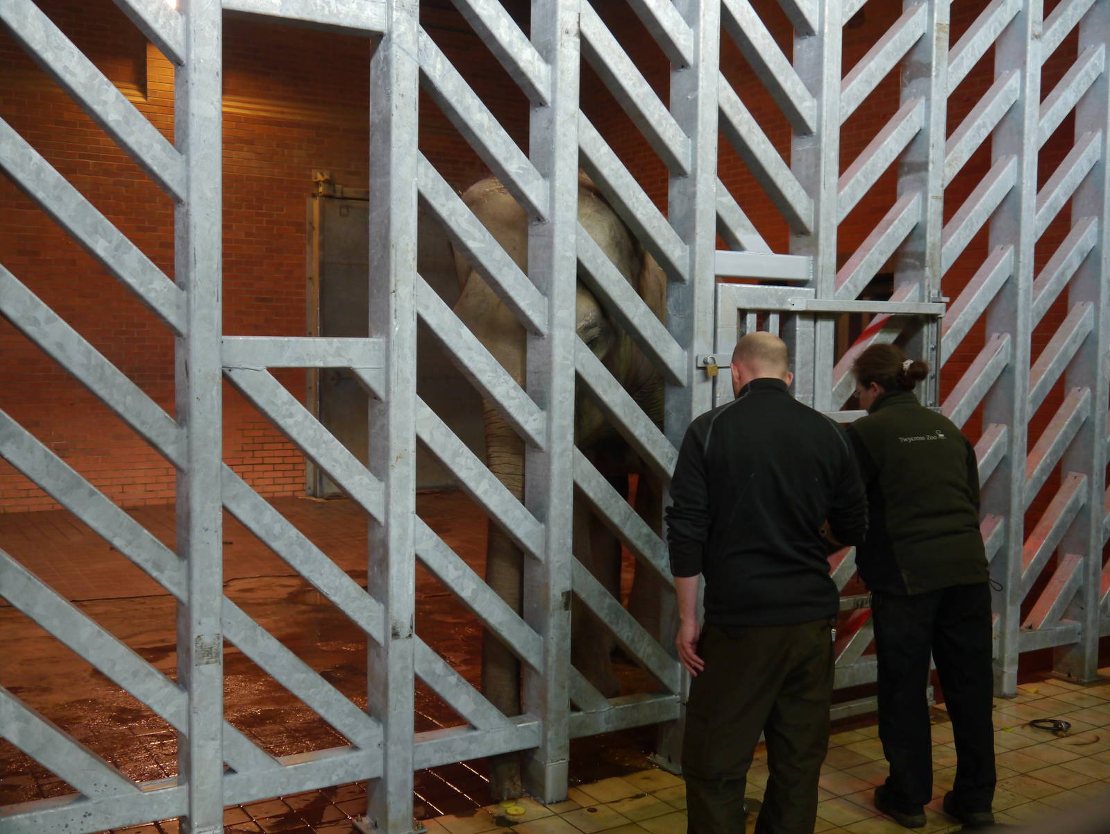 Noorjahan during training.