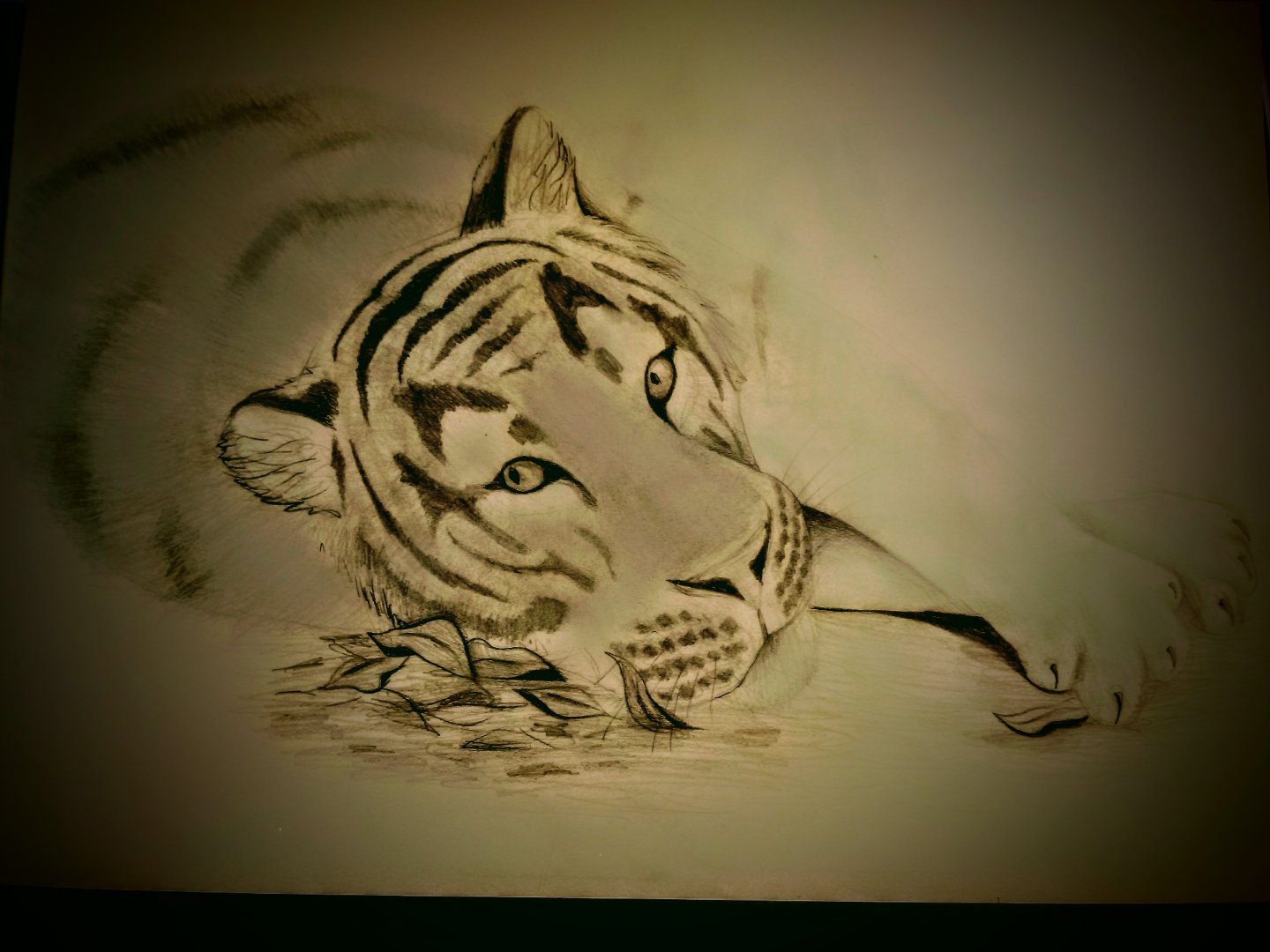 Norbi, Budapest Zoo's recently died male tiger