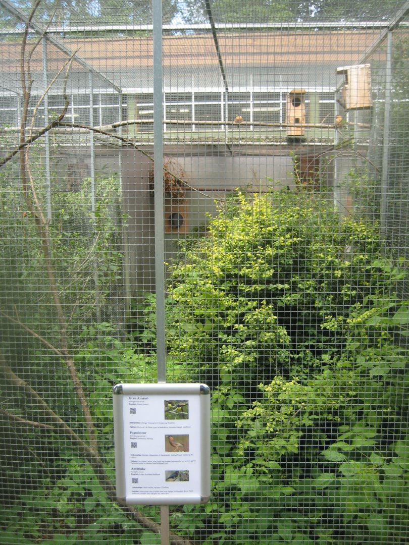 Nordsjællands Fuglepark - Aracari aviary