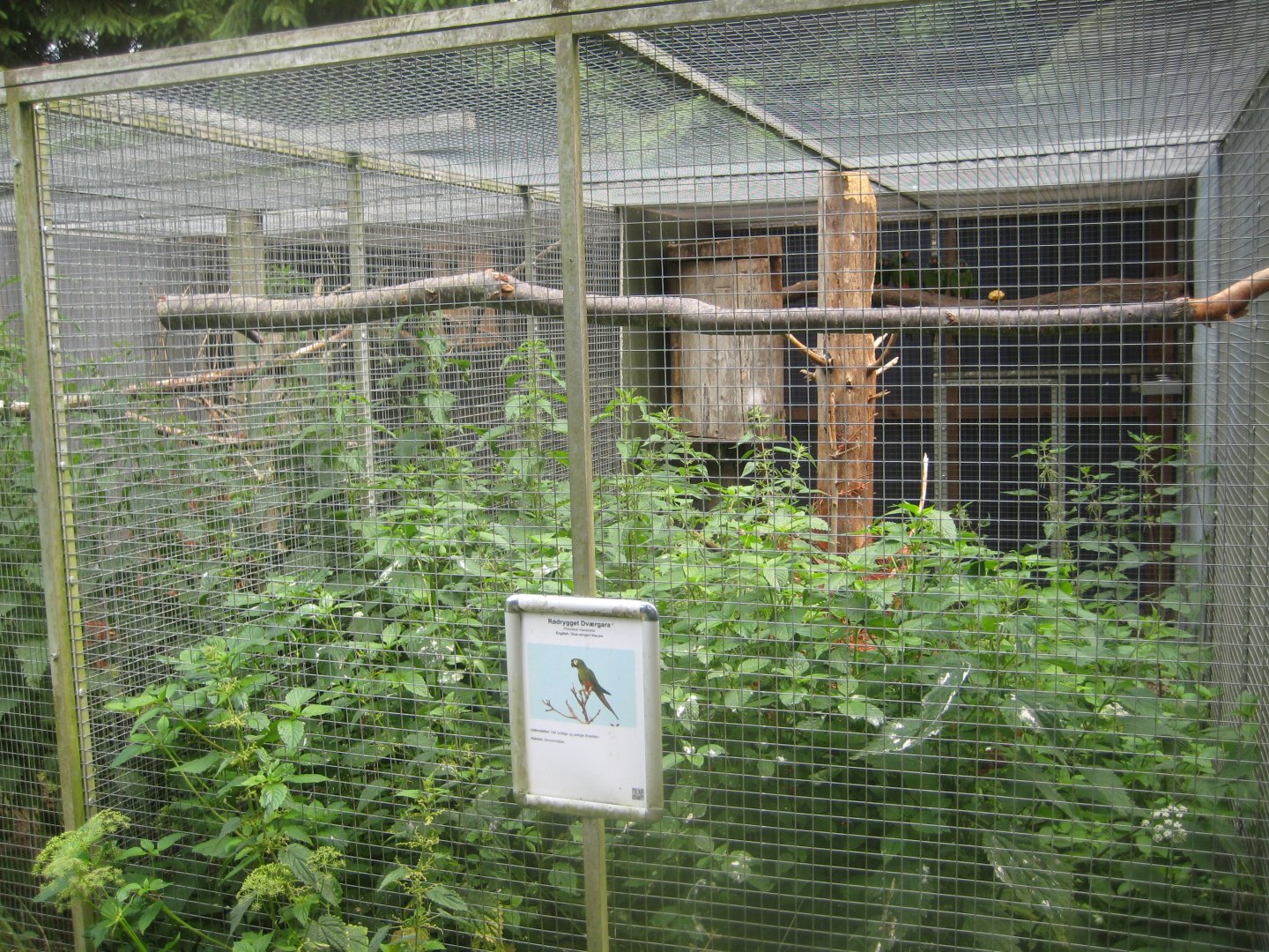 Nordsjællands Fuglepark - Blue-winged macaw aviary