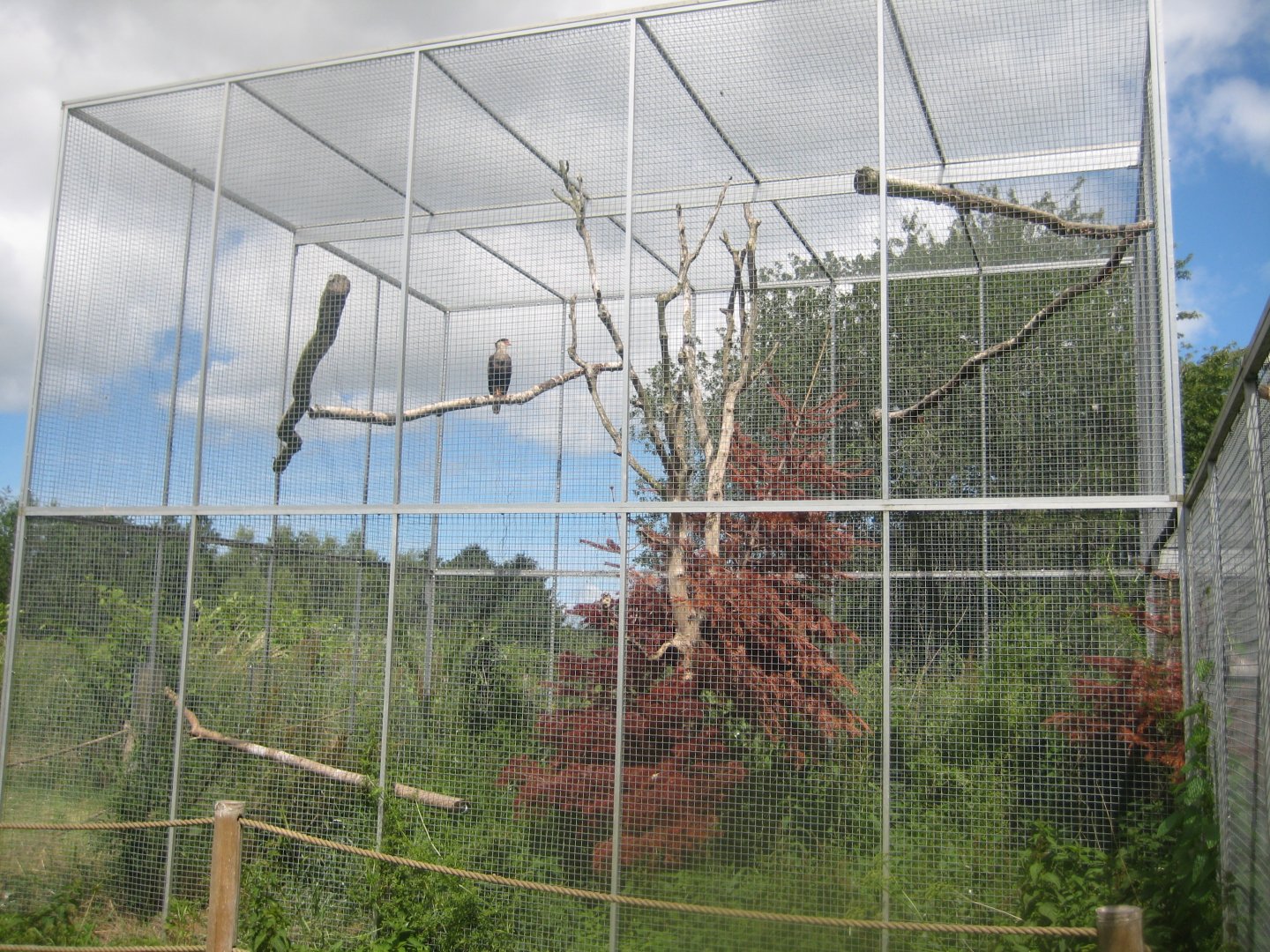 Nordsjællands Fuglepark - Caracara aviary