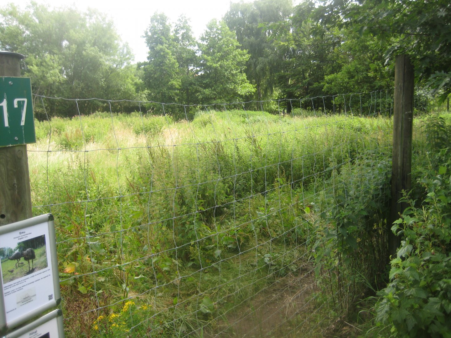 Nordsjællands Fuglepark - Emu exhibit