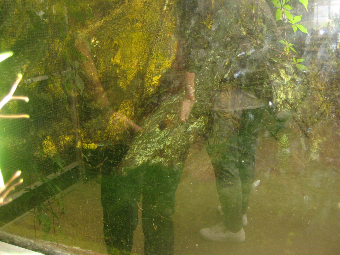 Nordsjællands Fuglepark - Fish tank #2