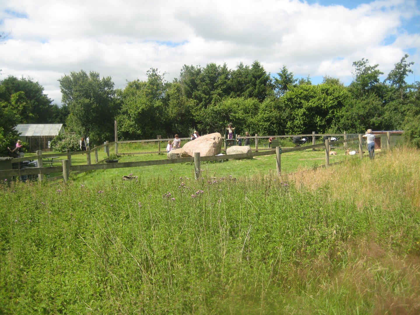 Nordsjællands Fuglepark - Goat exhibit