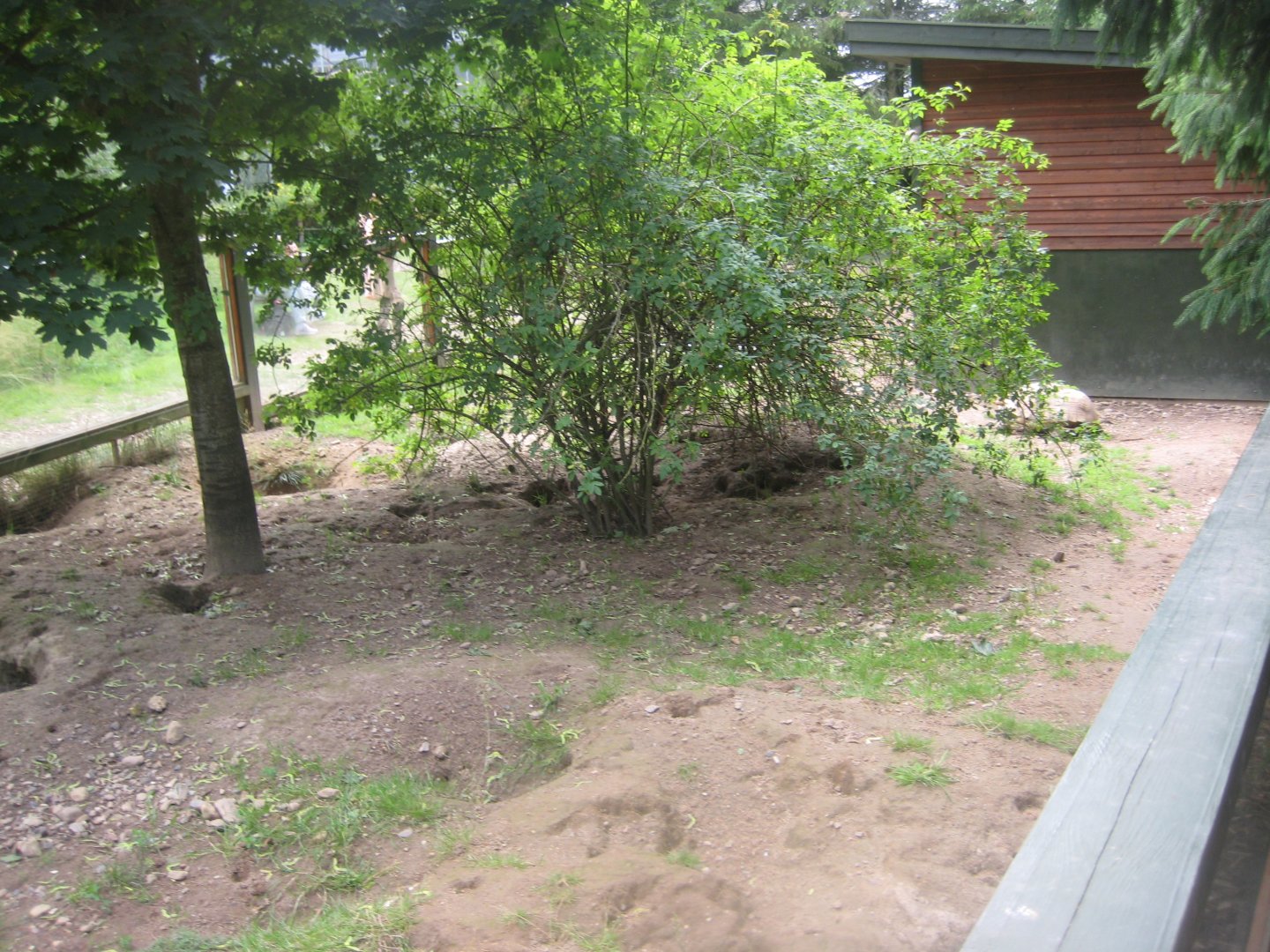 Nordsjællands Fuglepark - Meerkat/tortoise exhibit