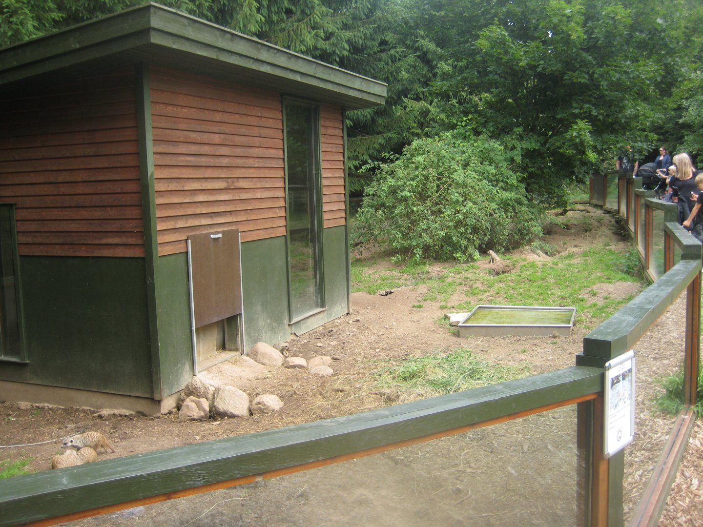 Nordsjællands Fuglepark - Meerkat/tortoise exhibit