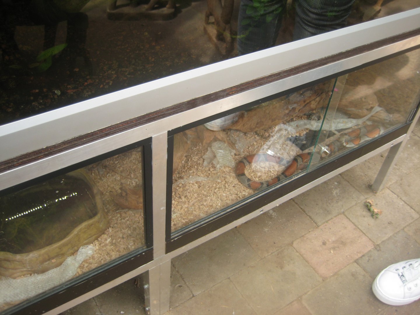 Nordsjællands Fuglepark - Milk snake exhibit