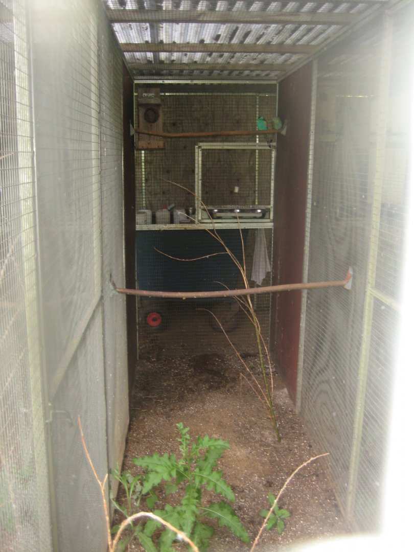 Nordsjællands Fuglepark - Mulga parrot aviary