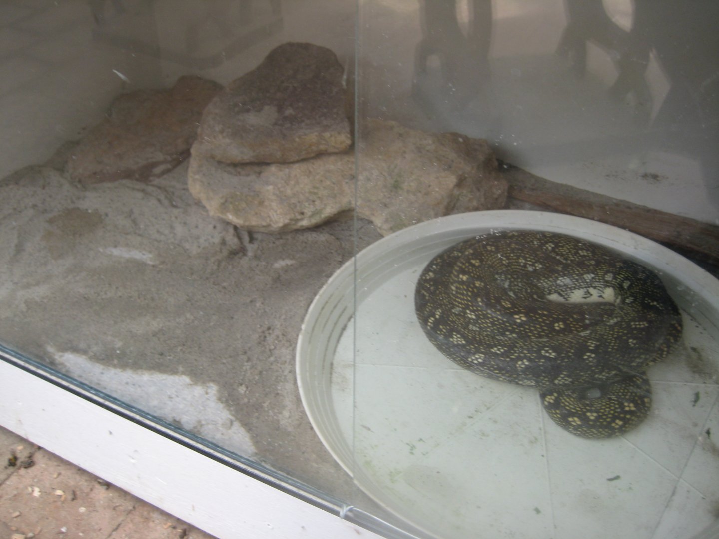 Nordsjællands Fuglepark - Python exhibit