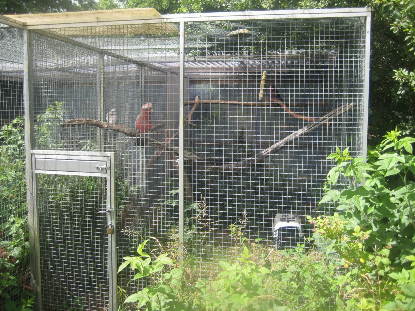 Nordsjællands Fuglepark - Rehabilitation aviary