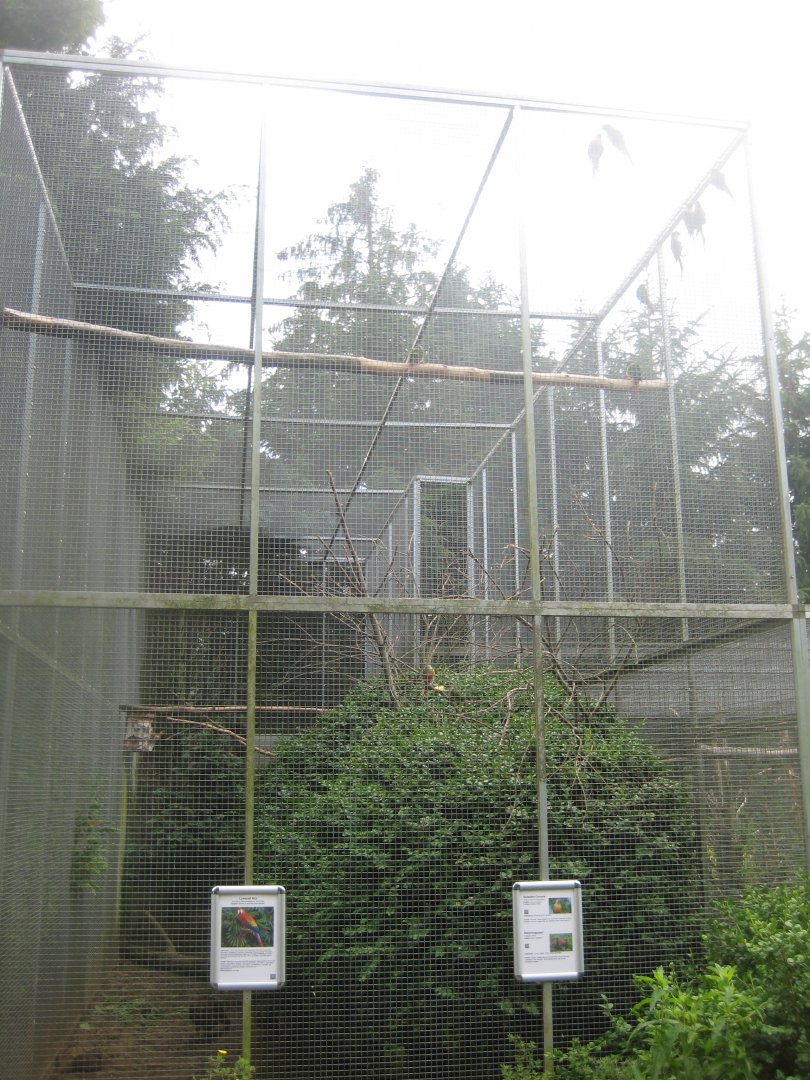 Nordsjællands Fuglepark - Scarlet macaw aviary