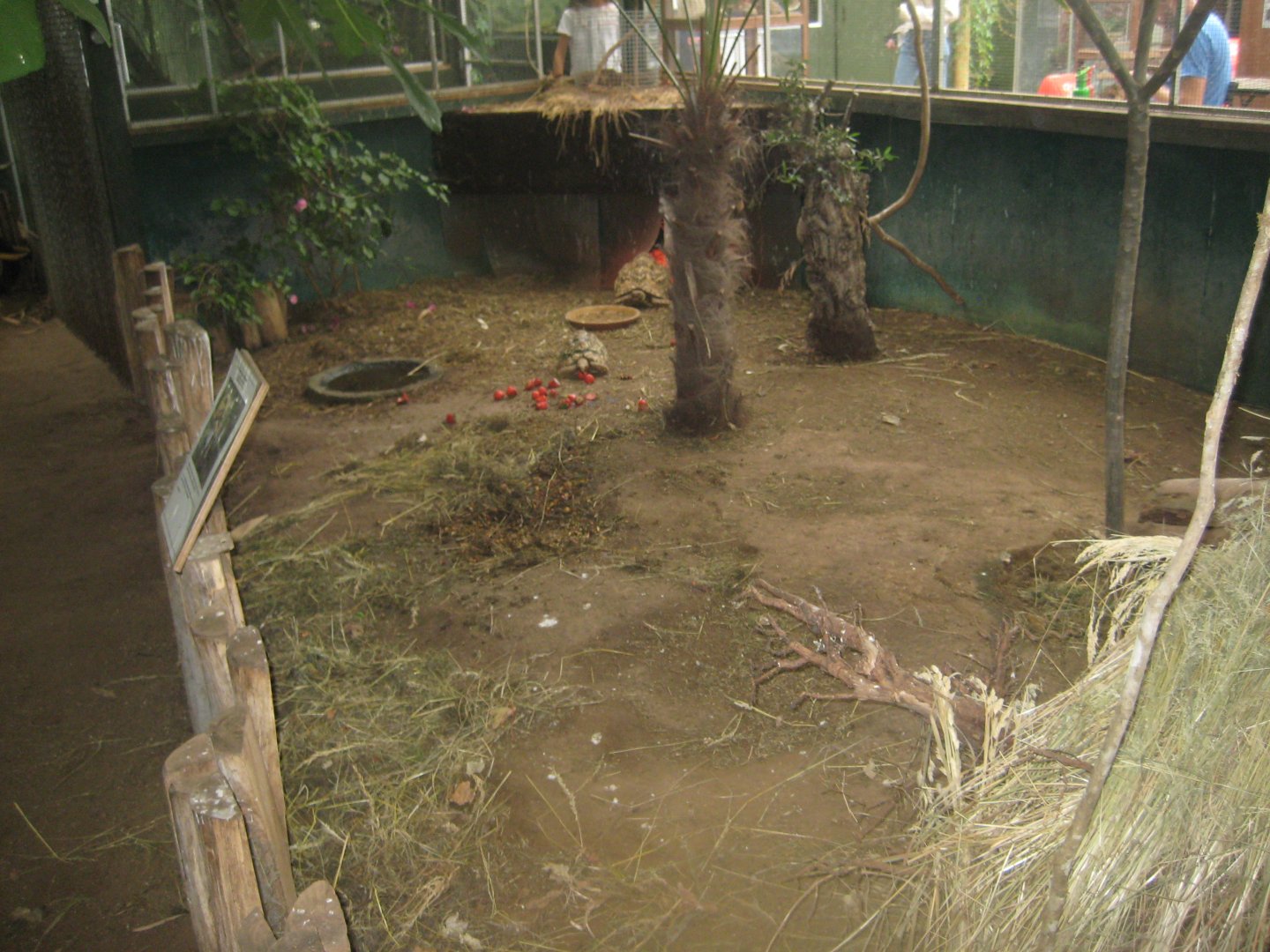 Nordsjællands Fuglepark - Tropical house - Tortoise exhibit