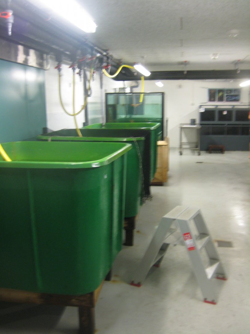 Nordsøen Oceanarium - Behind the scenes