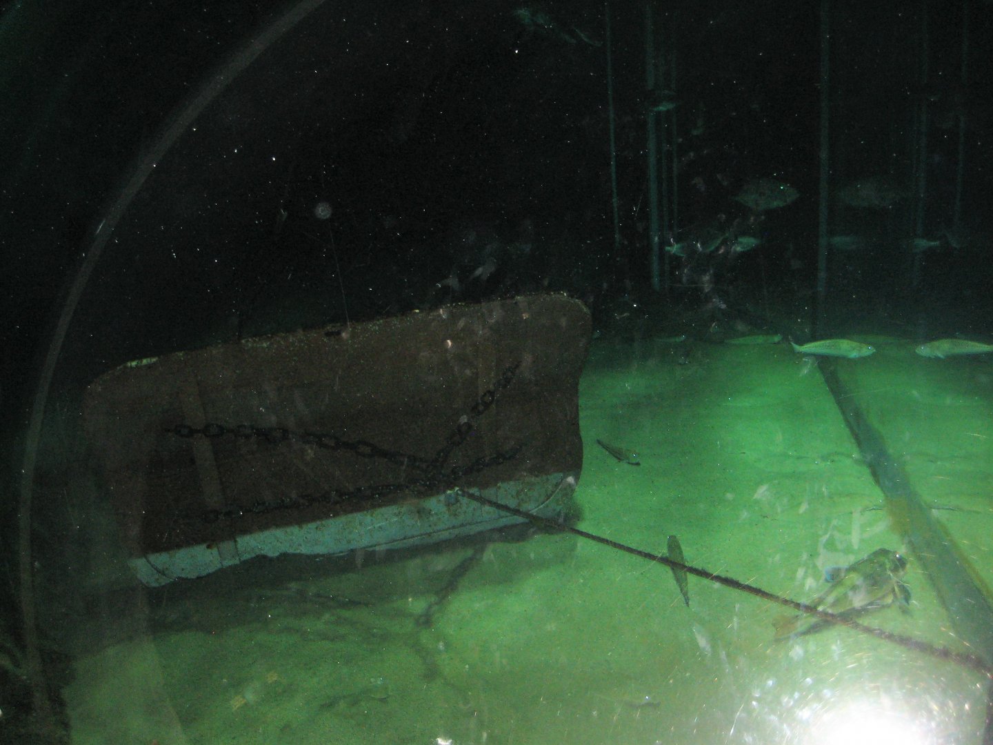 Nordsøen Oceanarium - "Dogger Bank"