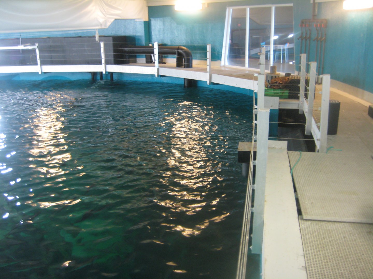 Nordsøen Oceanarium - "Ocean View"