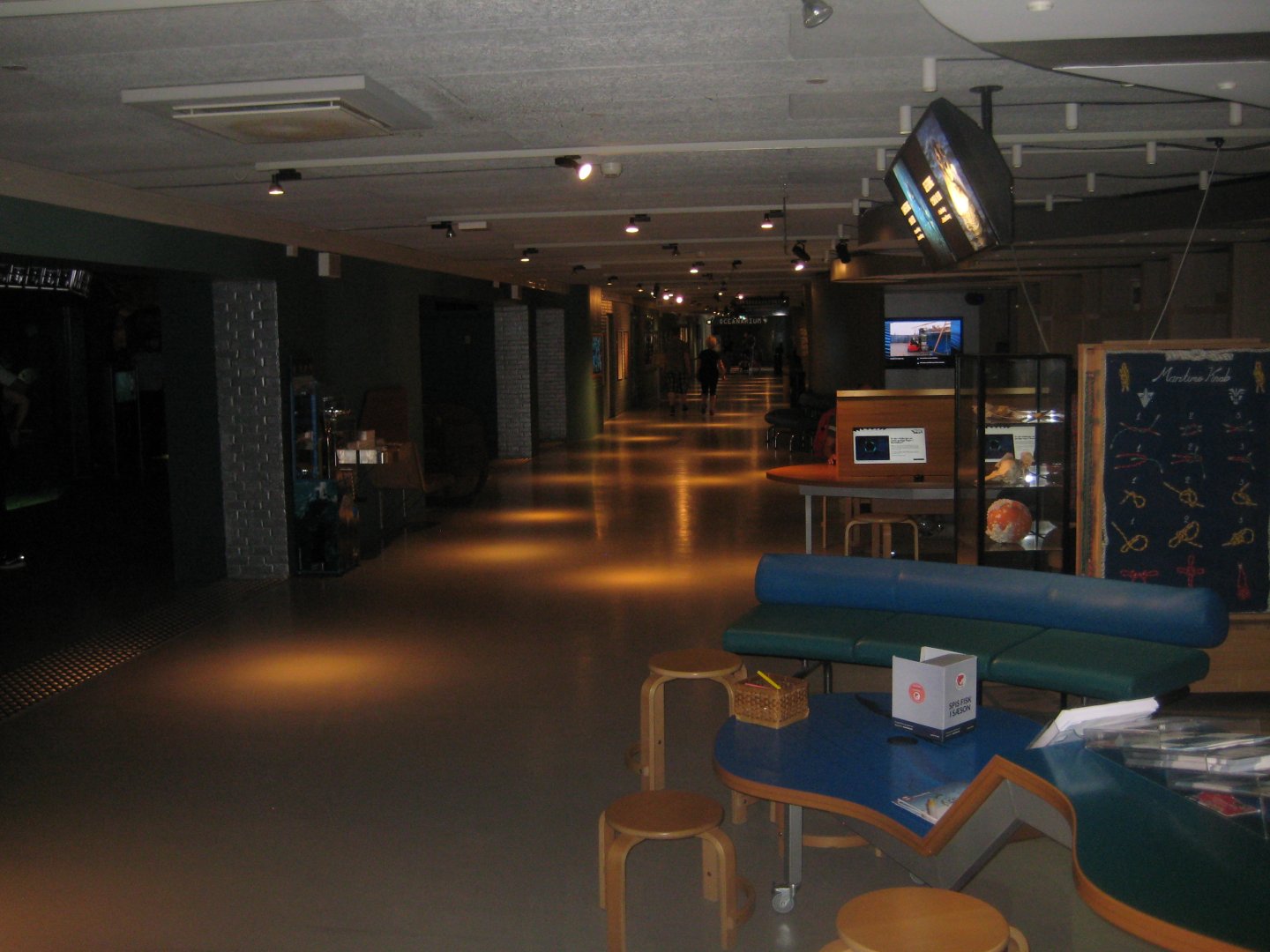 Nordsøen Oceanarium - "The sea observatory"