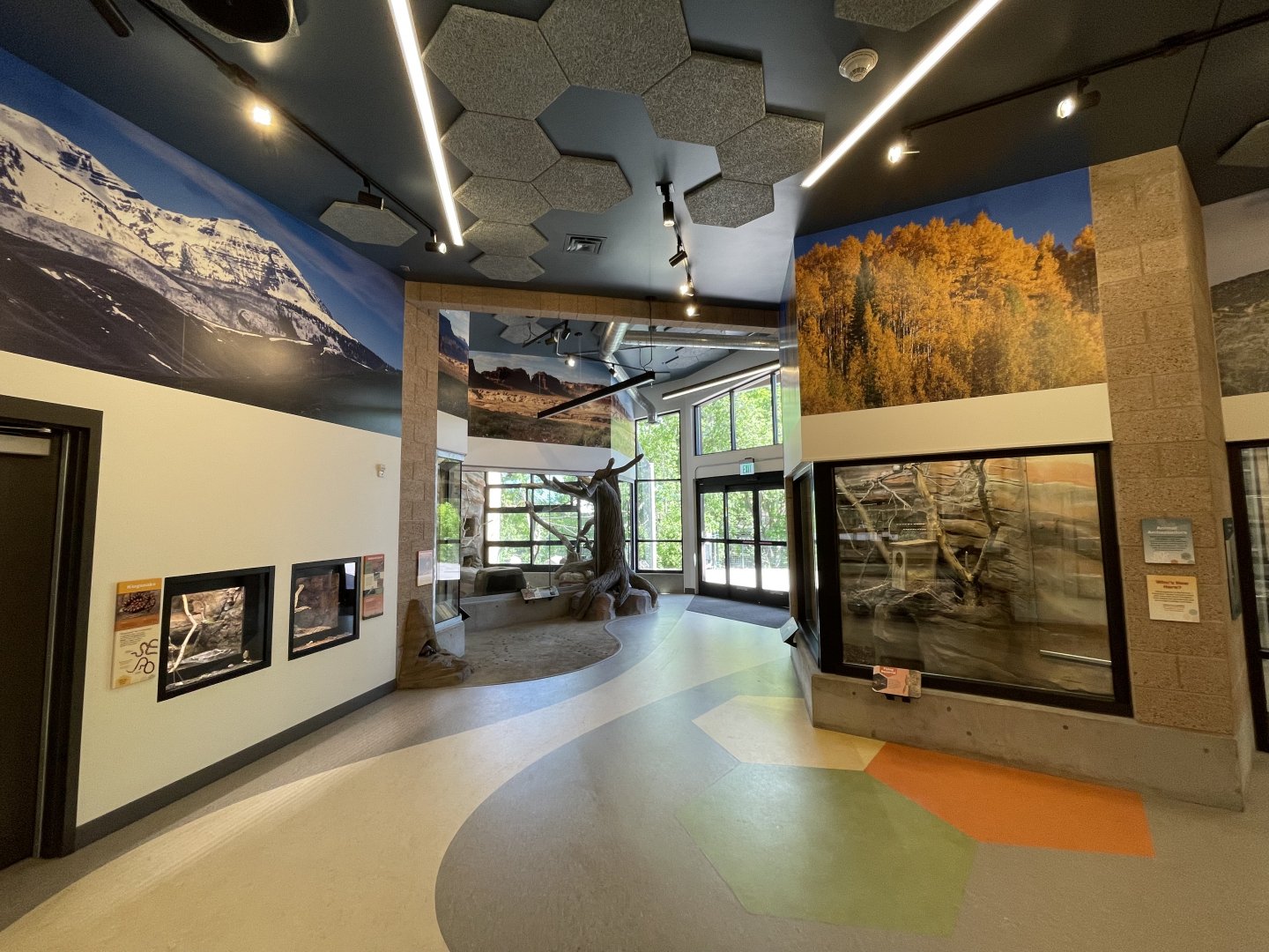 Norma W. Matheson Education Animal Center - Wild Utah