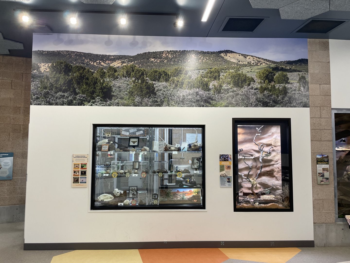 Norma W. Matheson Education Animal Center - Wild Utah