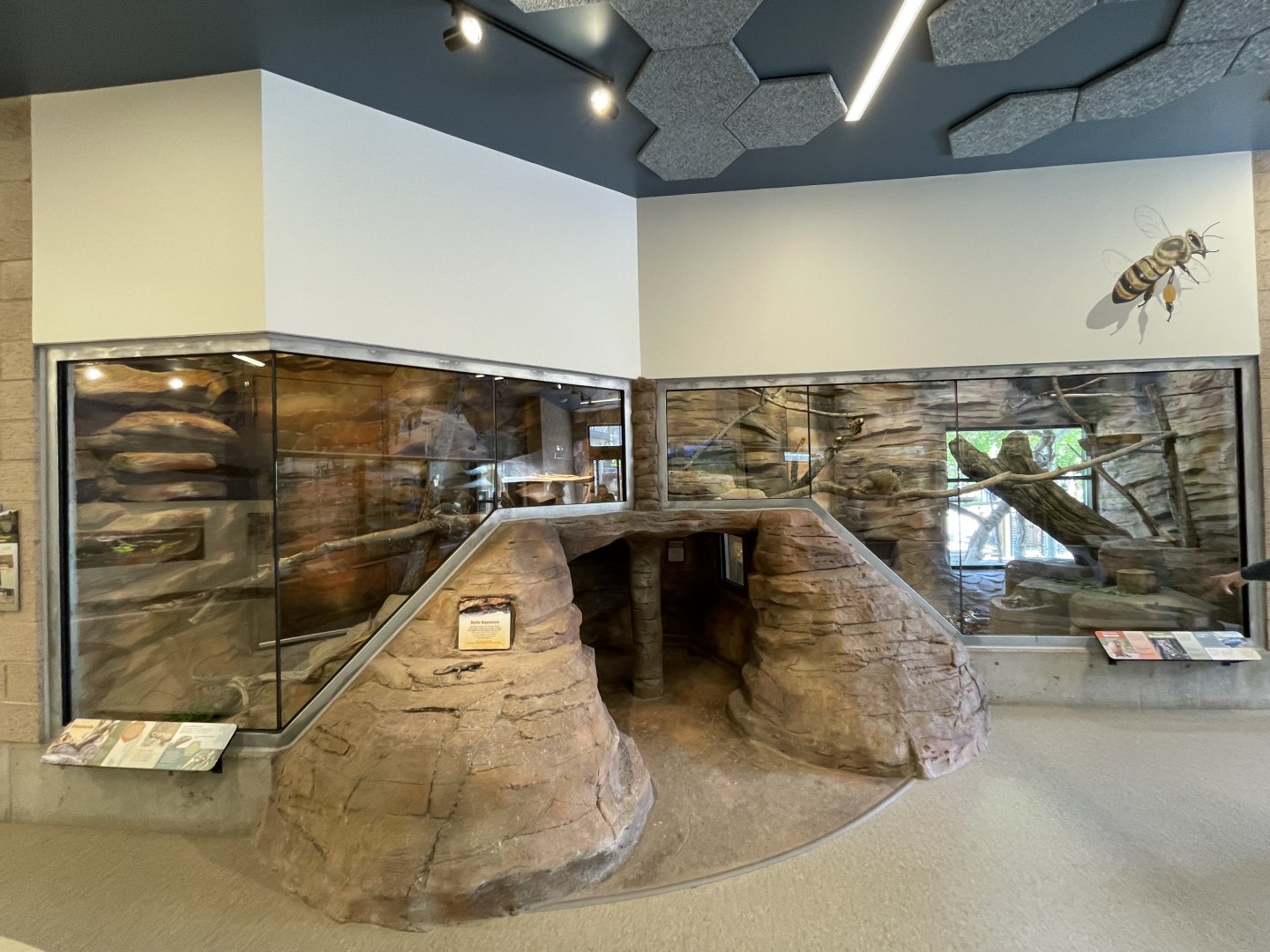 Norma W. Matheson Education Animal Center - Wild Utah