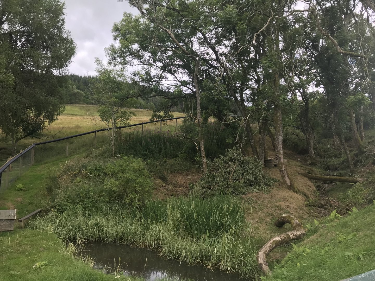 Normal ASCO enclosure