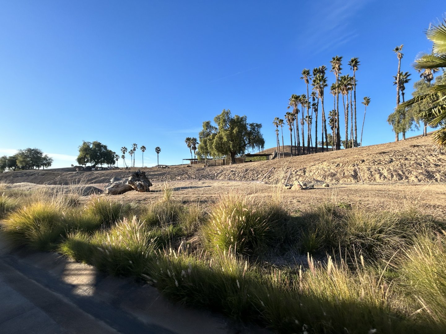 North Africa Field Exhibit