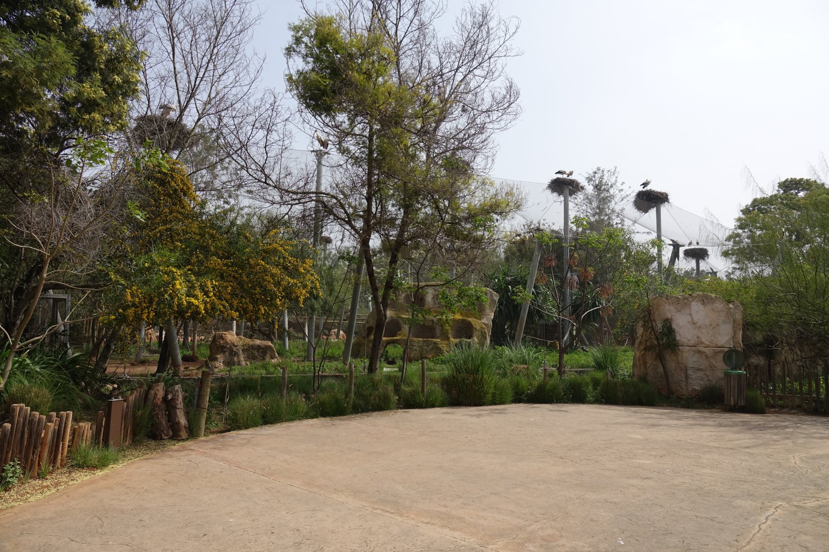 North African Aviary