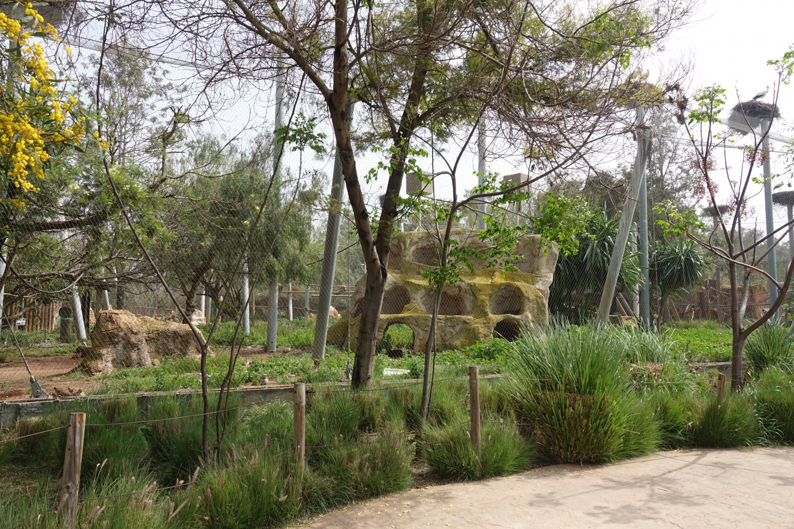North African Birds Aviary
