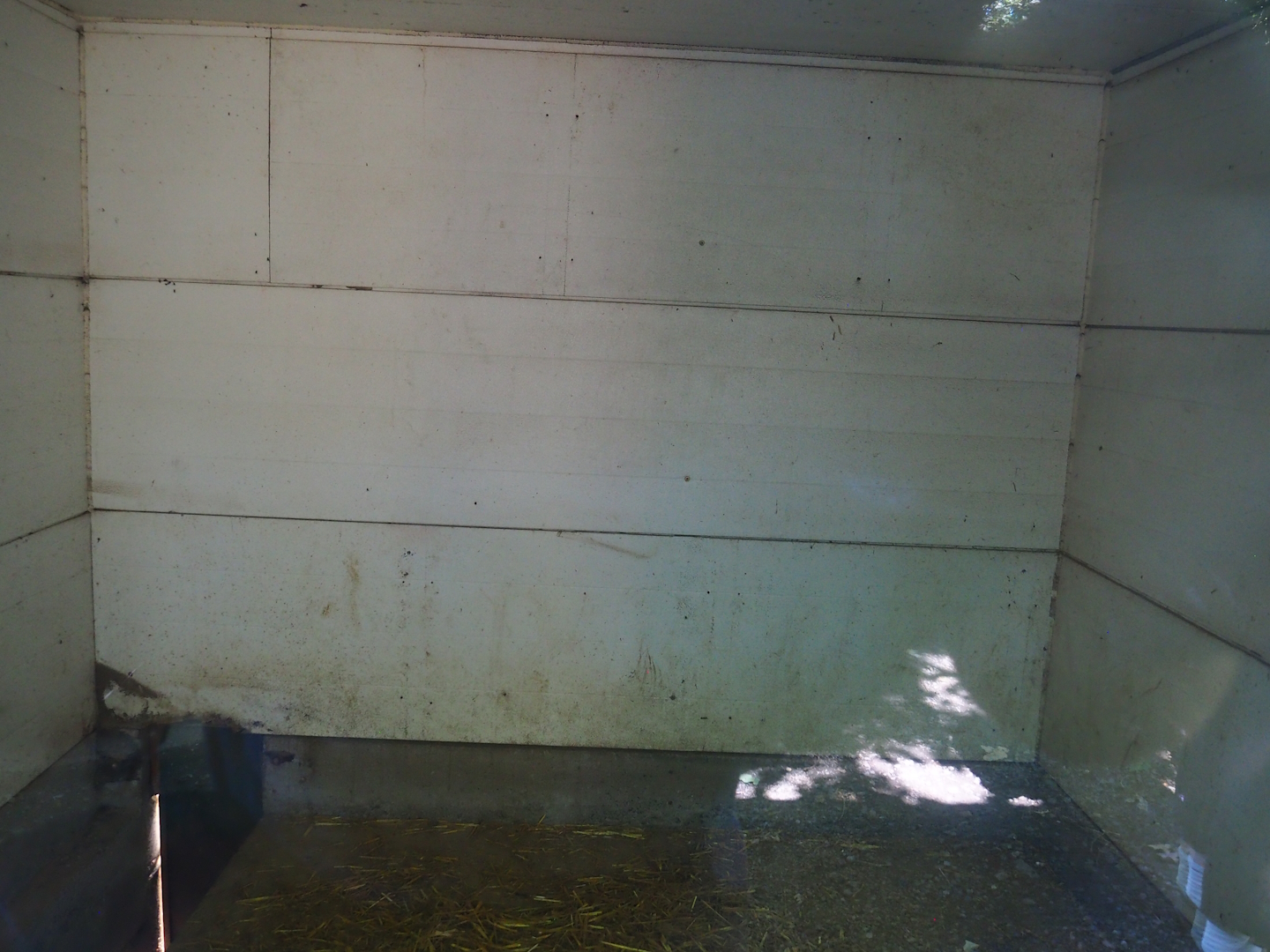 North African crested porcupine indoor housing, 2023-06-24